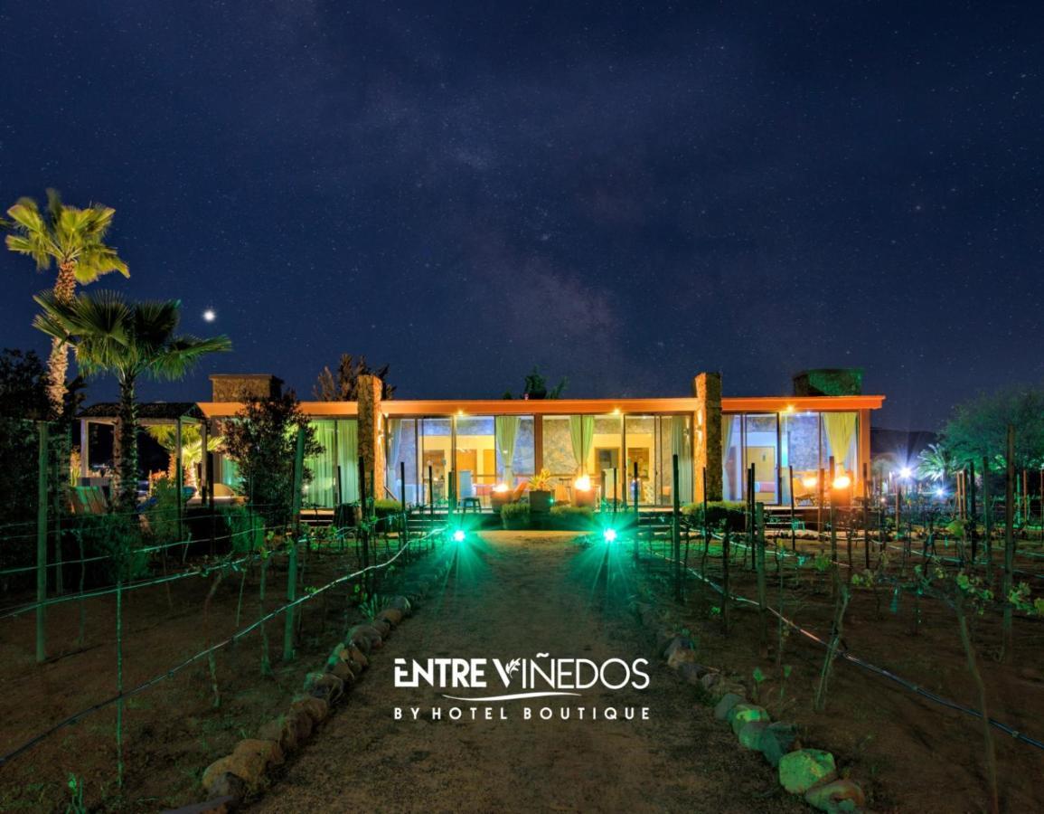 Entre Vinedos By Hotel Boutique فالي دي جوادالوبي المظهر الخارجي الصورة